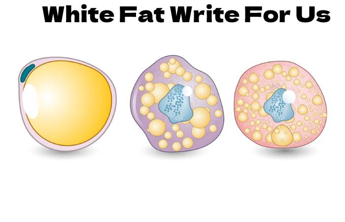 White Fat Write For Us